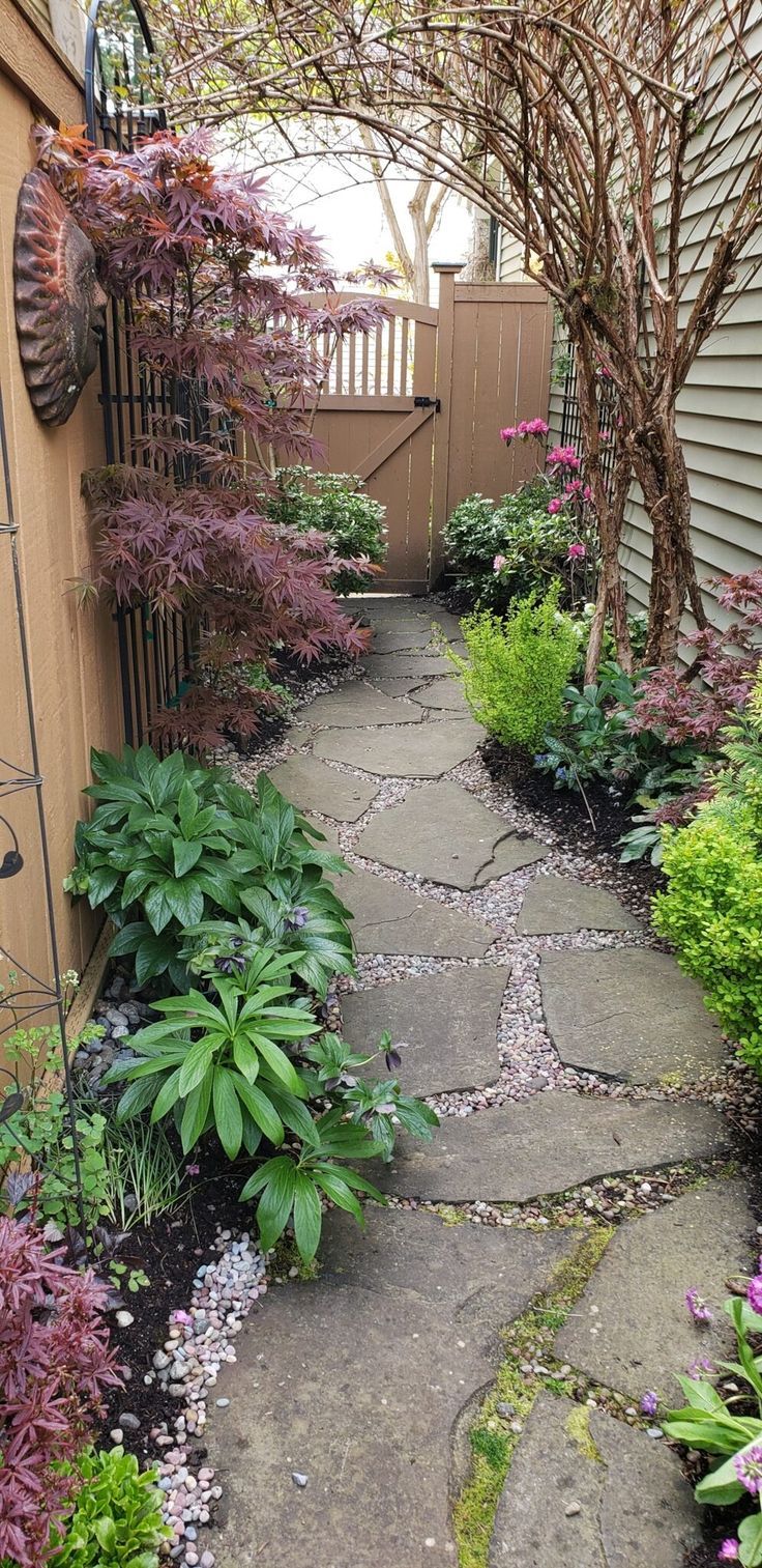 Creating a Beautiful Side Yard Oasis: Tips for Landscaping Your Outdoor Space