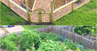 landscaping vegetable garden