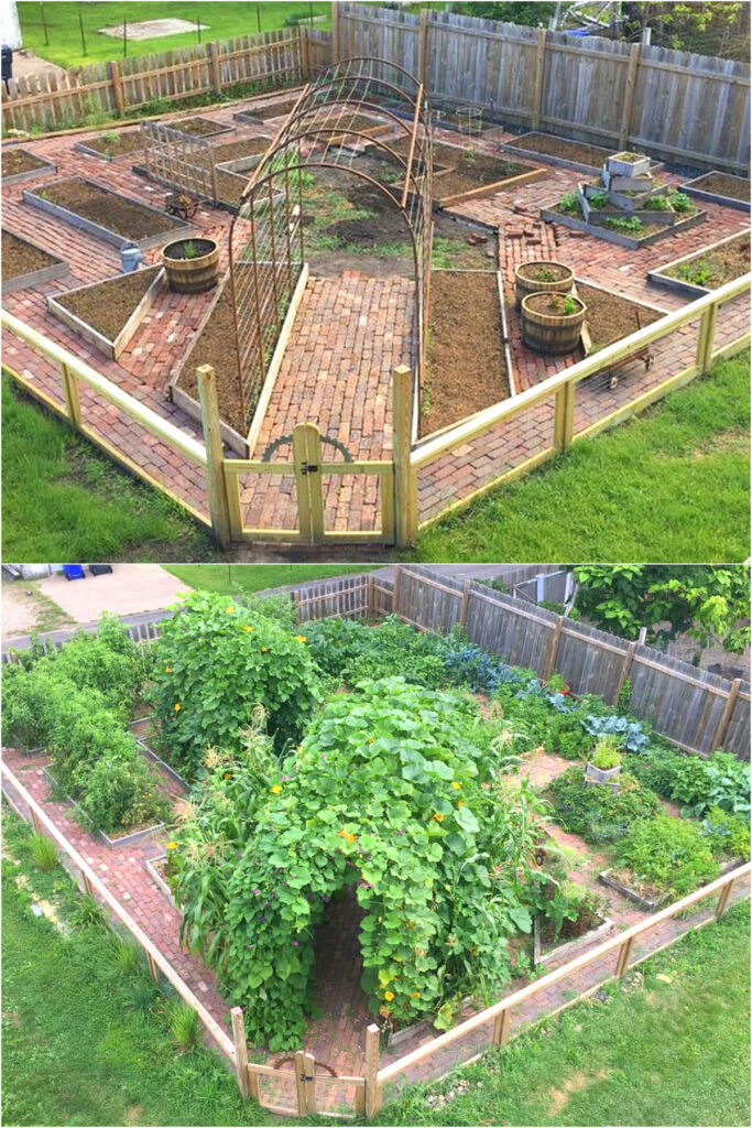 landscaping vegetable garden