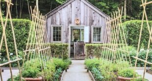 landscaping vegetable garden