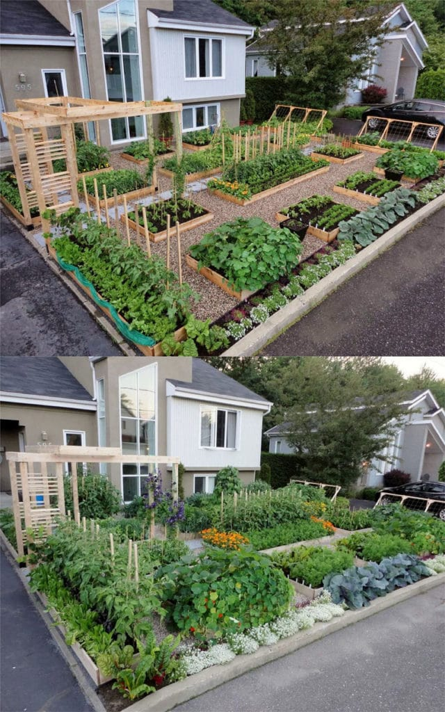 landscaping vegetable garden