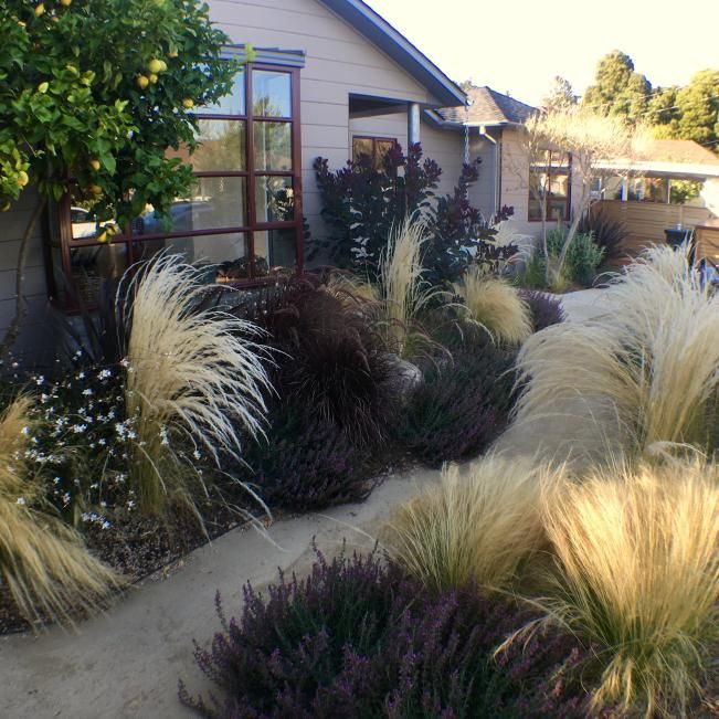 Creating a Beautiful, Water-Efficient Front Yard with Xeriscaping