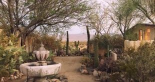 landscaping xeriscape