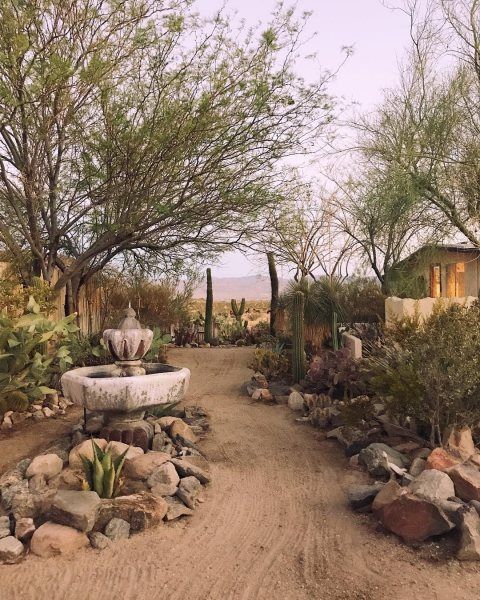 Creating a Beautiful and Sustainable Landscape with Xeriscaping