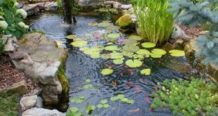 water gardens