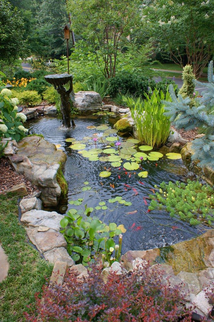 Creating a Beautiful Water Garden: A
Guide to Designing a Serene Oasis for Your Home