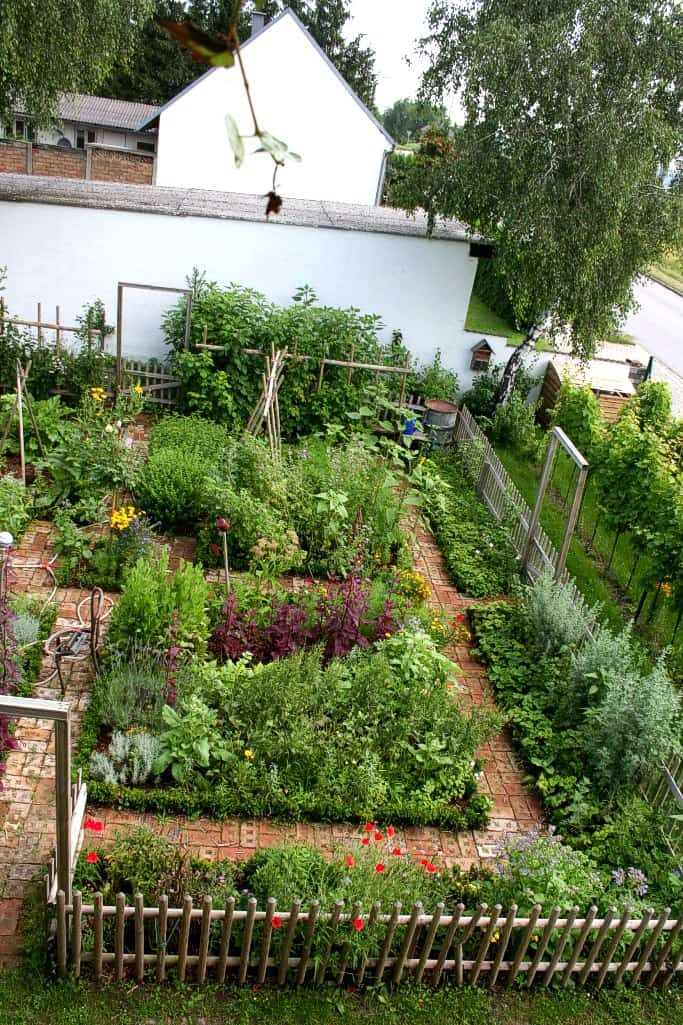 Creating a Beautiful and Bountiful Vegetable Garden with Strategic Landscaping