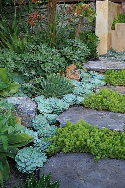 Creating a Beautiful and Functional Garden Design