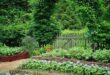 vegetable garden design layout