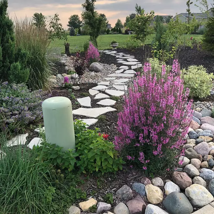 Creating a Beautiful and Low-Maintenance Front Yard with Xeriscaping