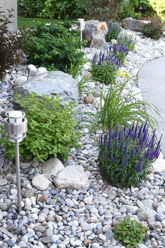 Creating a Beautiful and Sustainable Front Yard Landscape with Xeriscaping