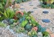 xeriscape front yard