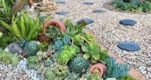 xeriscape front yard