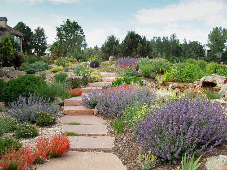 Creating a Beautiful and Sustainable Landscape with Xeriscape Design