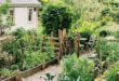 landscaping vegetable garden