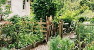 landscaping vegetable garden