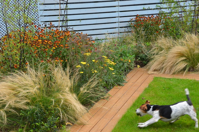 Creating a Canine-Friendly Oasis: Designing a Backyard Landscaping that Pawsitively Pampers Your Dog