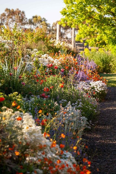 Creating a Charming Cottage Garden: A Guide to Timeless Design