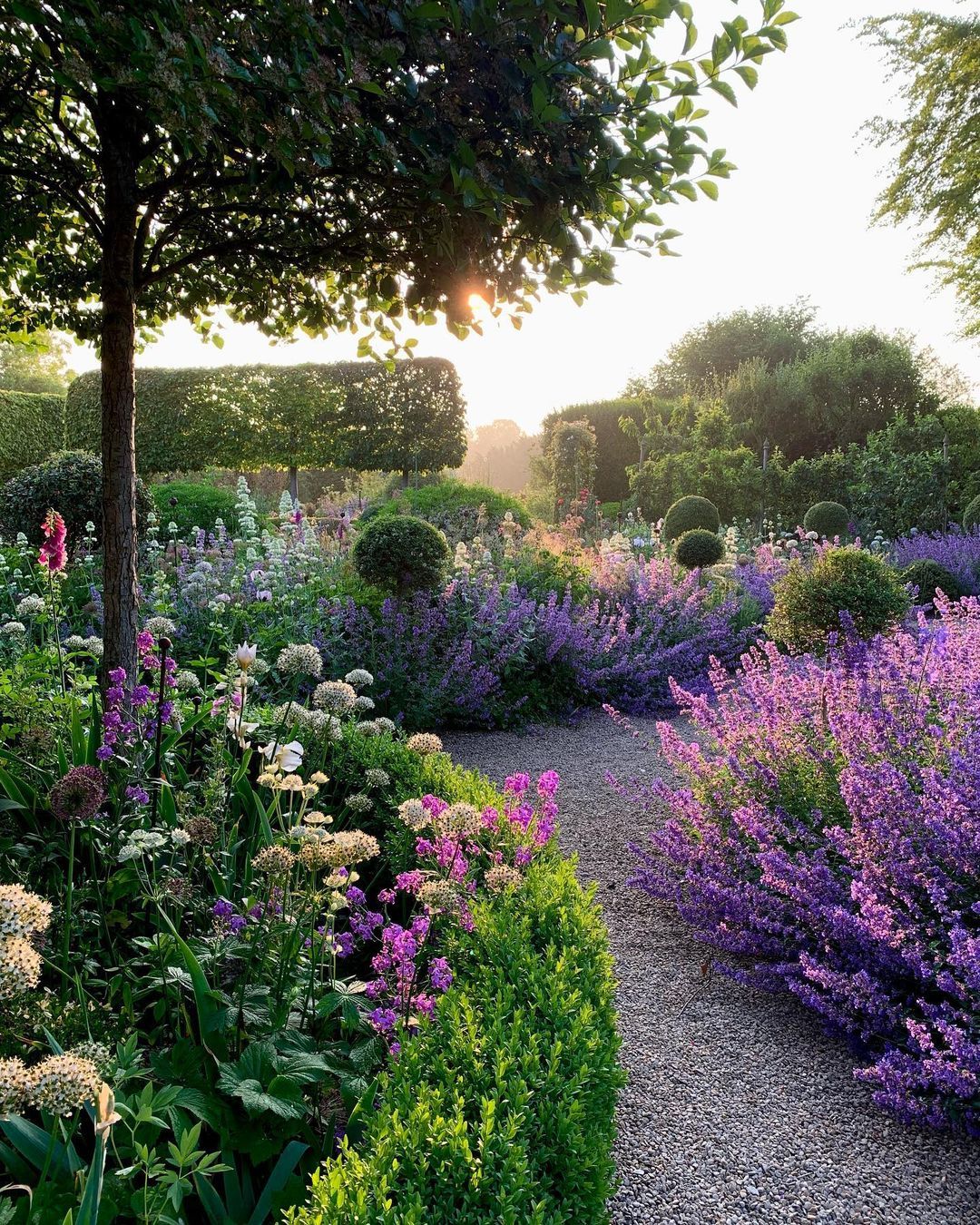 Creating a Charming Cottage Garden: Tips and Inspiration for Design