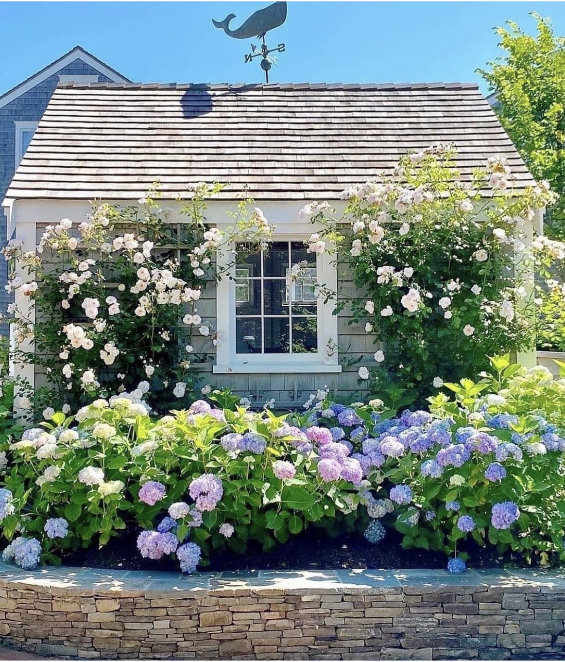 Creating a Charming Cottage Garden: Tips for Achieving a Quintessential Landscape