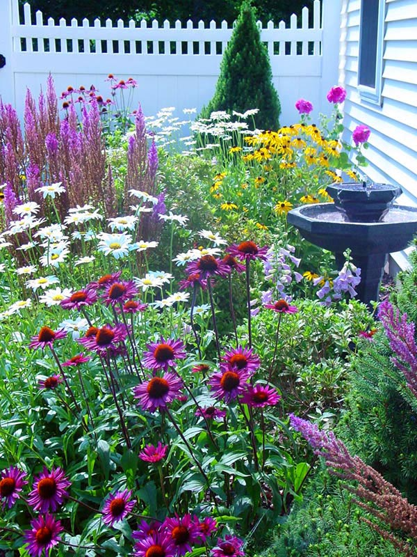 Creating a Charming Cottage Garden Landscape