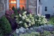 front yard cottage garden ideas