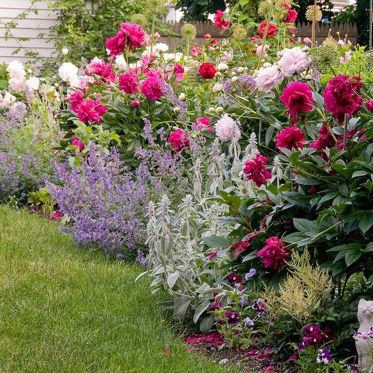 Creating a Charming Cottage Garden with Thoughtful Landscaping