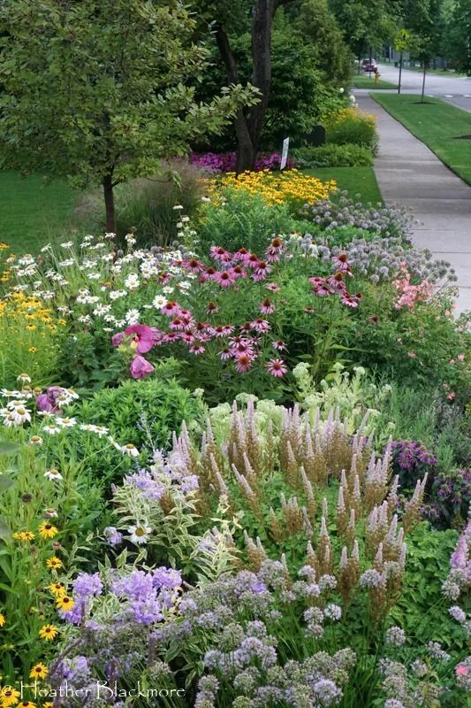 Creating a Charming Front Yard Cottage Garden: Ideas to Transform Your Outdoor Space