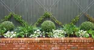 small garden wall