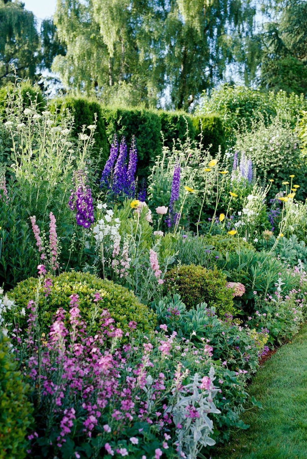 Creating a Charming Garden Design for Your Cottage