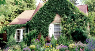 cottage landscaping