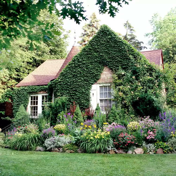 cottage landscaping