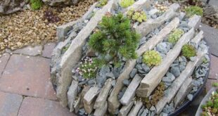 small garden rockery