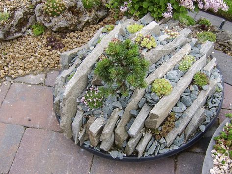 Creating a Charming Miniature Garden Rockery