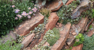 small garden rockery