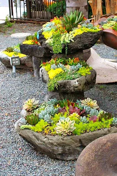 Creating a Charming Miniature Rock Garden for Your Outdoor Space