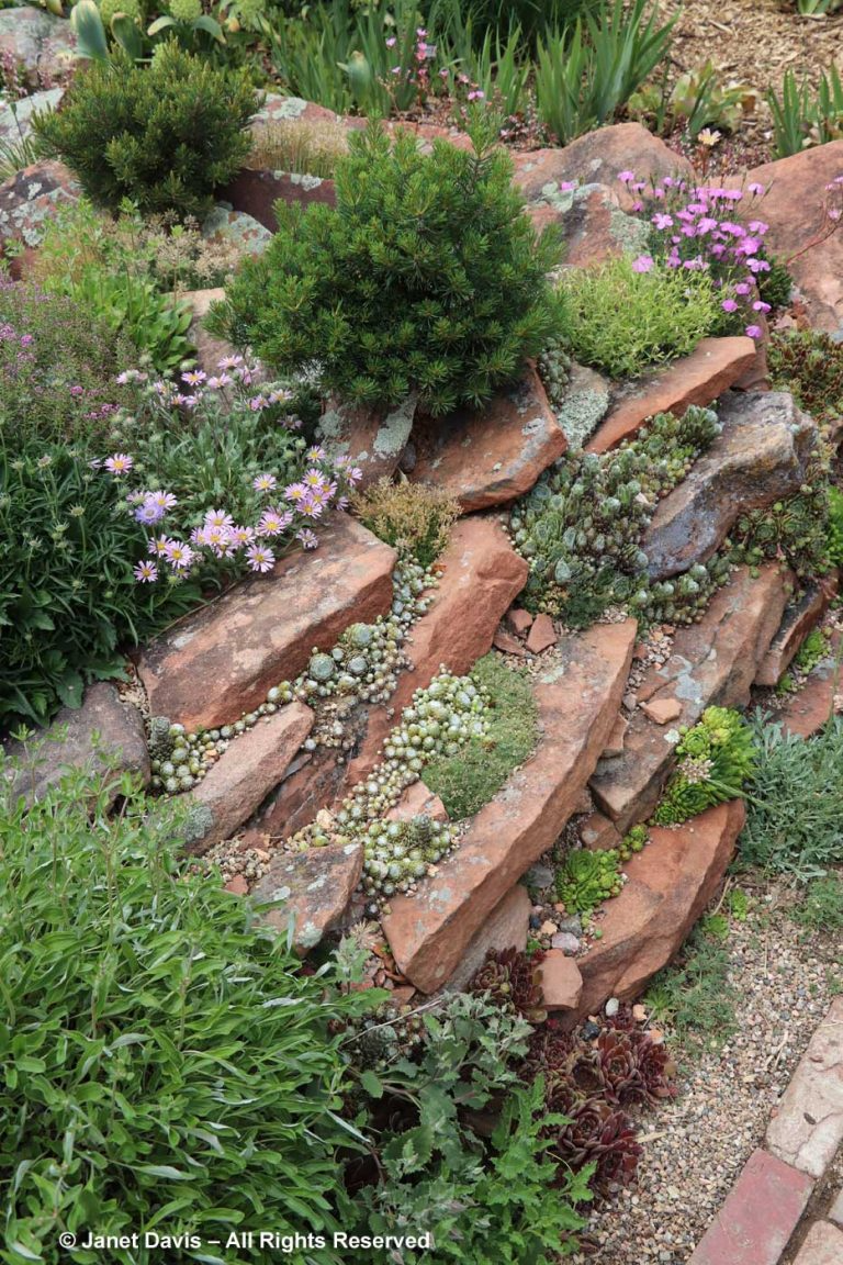 Creating a Charming Miniature Rock Garden