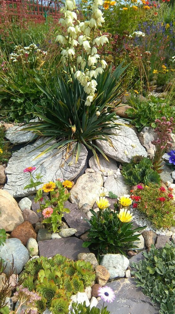 Creating a Charming Miniature Rockery for Your Garden