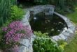 small garden ponds ideas