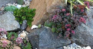 small garden rockery