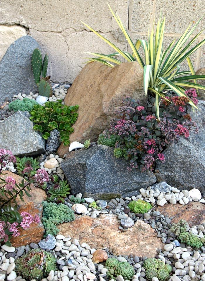 Creating a Charming Rock Garden for Your Small Outdoor Space