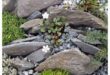 small garden rockery