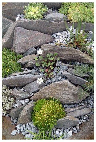 Creating a Charming Rockery for Your Small Garden