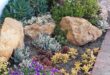 small garden rockery