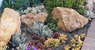 small garden rockery