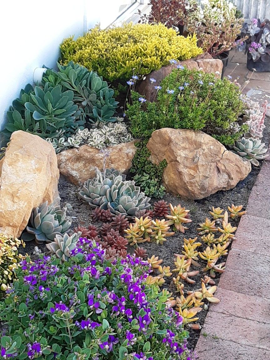 Creating a Charming Small Garden Rockery with Natural Beauty