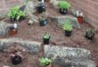 small garden rockery