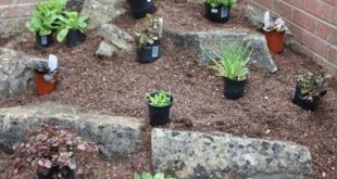 small garden rockery