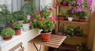 small balcony garden