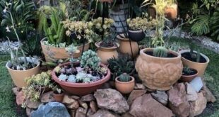 small garden rockery